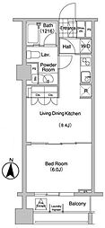 COMFORIA大山 1DKの間取図画像