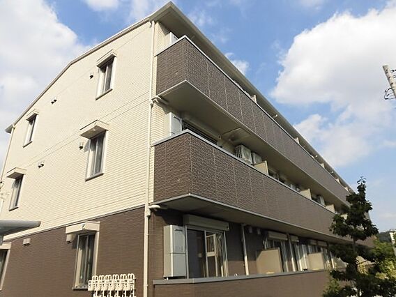 ルピナスＡ_トップ画像