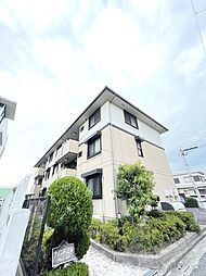 南海線 石津川駅 徒歩9分の賃貸アパート