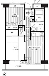 ステラメゾン武蔵小山 2DKの間取図画像
