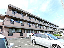 エーデルワイス