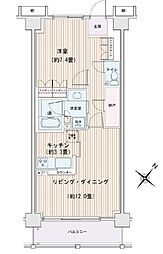 エスティメゾン豊洲レジデンスB棟 1LDKの間取図画像