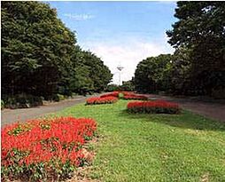 航空記念公園まで徒歩13分（990ｍ）です。
