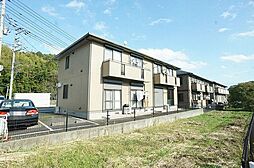 エバーグリーン