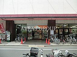 [周辺] ダイエー松戸西口店 430m