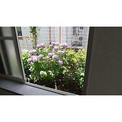 アルペ-ジュ十日市場_その他_2