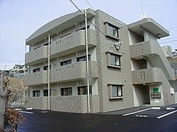 プティレカンＩＺＵＭＩ