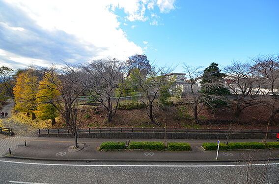 フォレストパーク相模原_その他_1