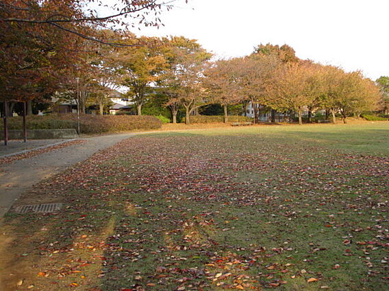 幸明テラス_周辺_4