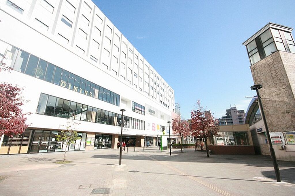 Apictnyohcgdl カナブン 大量発生 マンション カナブン 大量発生 マンション