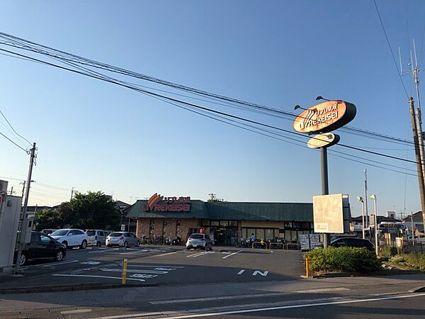 Loa Plata松戸