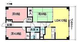 シャムロック弐番館 3LDKの間取図画像