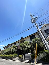 ドミール