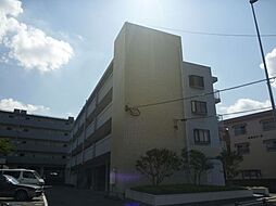 9 / 9