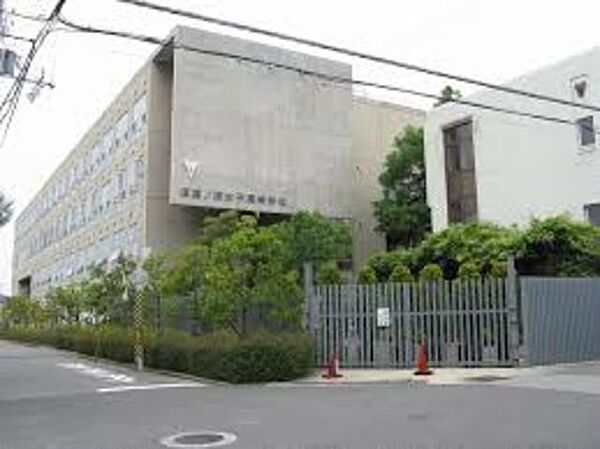 周辺：兵庫大学附属須磨ノ浦高校 842m