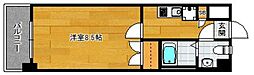 ピュアドームエクザ薬院 1Kの間取図画像