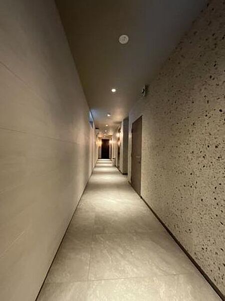 画像6:高級感のある屋内廊下です。