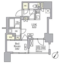 テラス神田猿楽町 1LDKの間取図画像
