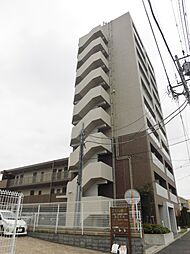 esperanza桜 (エスペランサ桜)