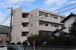 スプリームコート