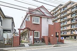 ゼフィランサス橋本