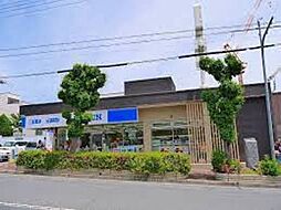 KOJIKA(こじか)