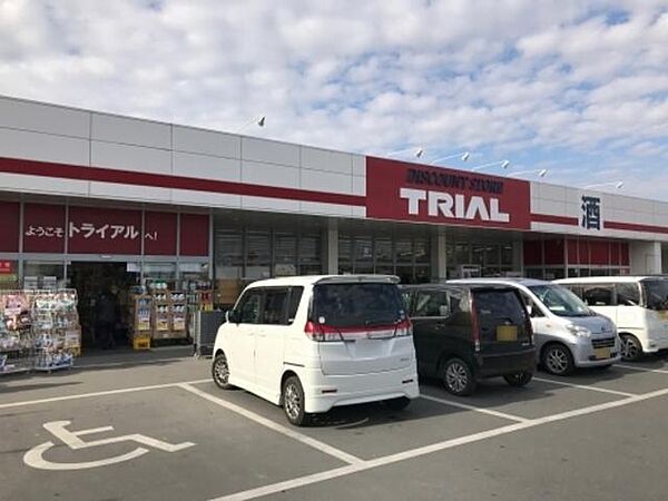 画像6:ディスカウントストアトライアル太田由良店まで250ｍ！24時間営業のスーパーです！