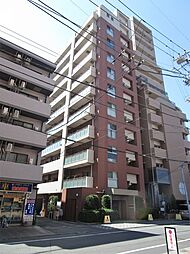 Primal　Machida　プライマルマチダ