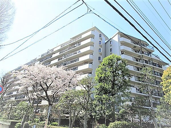 神奈川県座間市相模が丘６丁目(賃貸マンション3LDK・1階・95.53㎡)の写真 その22