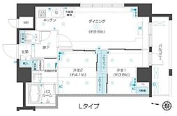 フェニックス椎名町駅前 11階2DKの間取り