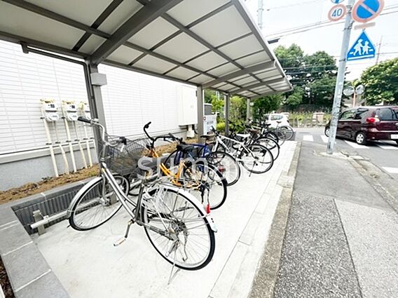 コリーヌヴェール盆栽_その他_3