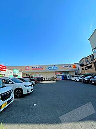ウエルシア住吉南住吉店 485m
