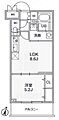 Alivis志村三丁目5階15.6万円