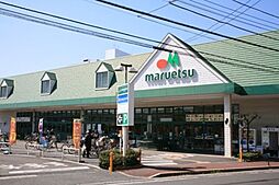 ラフィスタ高津