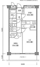 ステラコート 4階2LDKの間取り