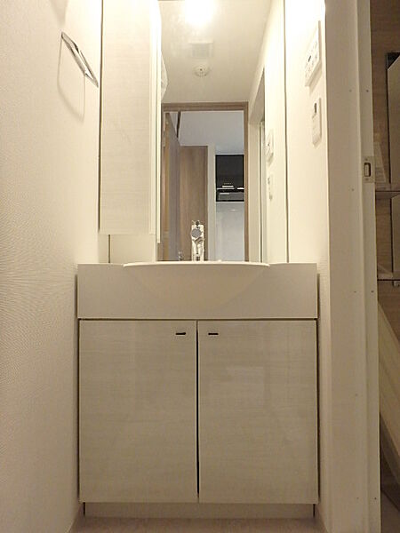 画像16:ハンドシャワー付き独立洗面化粧台