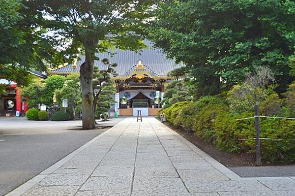 メゾンラフィネ 00101｜栃木県佐野市奈良渕町(賃貸アパート2LDK・1階・50.95㎡)の写真 その6