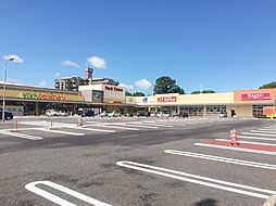 ヨークベニマル堤下店 541m