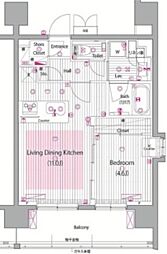 ガーラ・プレシャス渋谷 1LDKの間取図画像