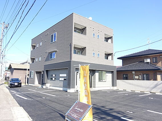 シュアネス_トップ画像