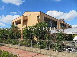 ウイングコート