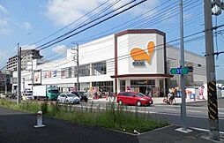 カーサ・ケレス