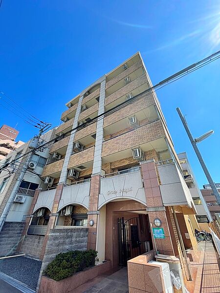 グレース長居 ｜大阪府大阪市住吉区長居２丁目(賃貸マンション1K・1階・22.48㎡)の写真 その1