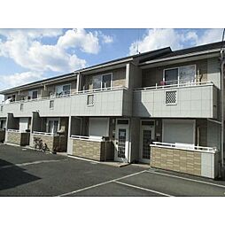 グランドール柿の木