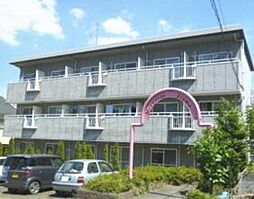 メヌエットイソマ