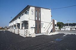 山桜