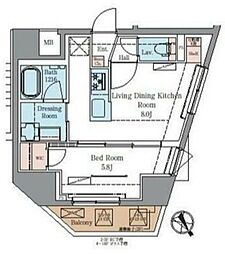 ラグゼナ北千住II 8階/-