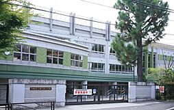 たまみtotomoni