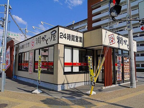 ヒカルサ奈良大森ノース