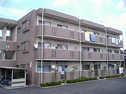 ユーミー若木